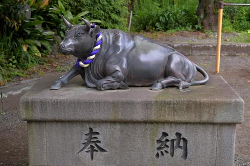 天神社の撫で牛 天神社の撫で牛の写真