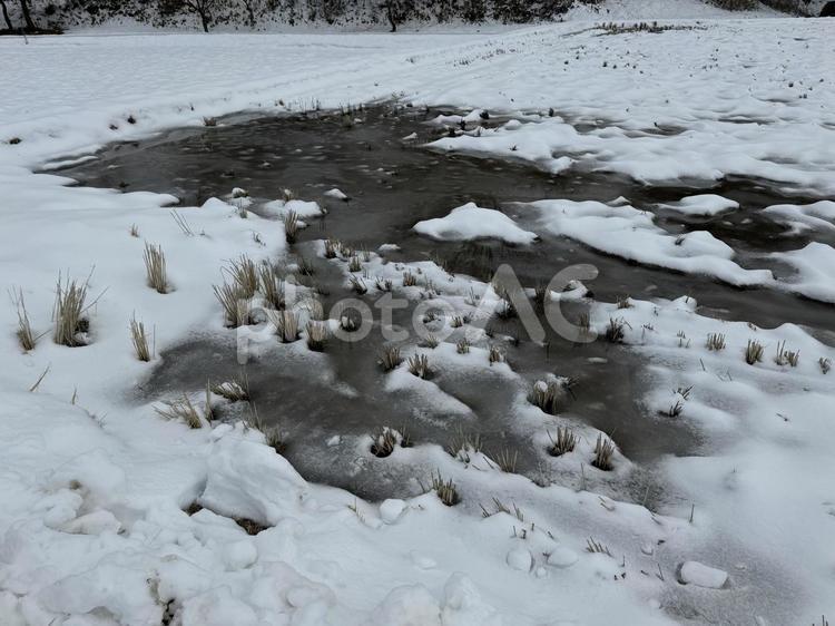 雪解けの田んぼ（信州） 雪,スノー,snowの写真素材