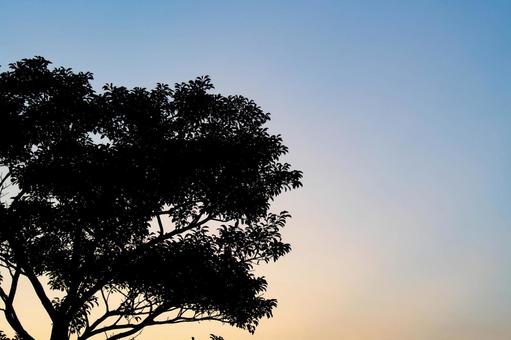 Setting Sun, JPG