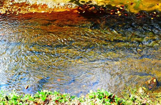 透き通った川の写真