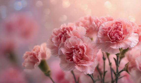 ボケ味の背景に映える花 ボケ味の背景に映える花の写真