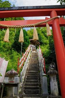 姫宮神社⑻ 神社,姫宮神社,神社仏閣の写真素材