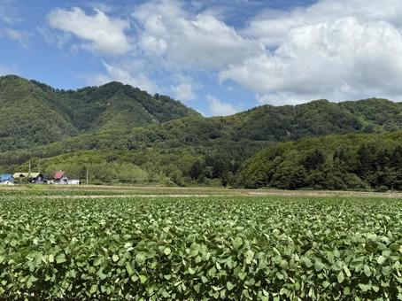 夏の風景 夏の風景 夏の日,夏,空の写真素材