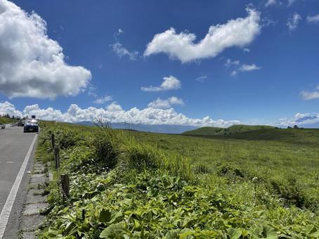 信州 霧ヶ峰高原 信州 霧ヶ峰高原 信州,霧ヶ峰,自然の写真素材