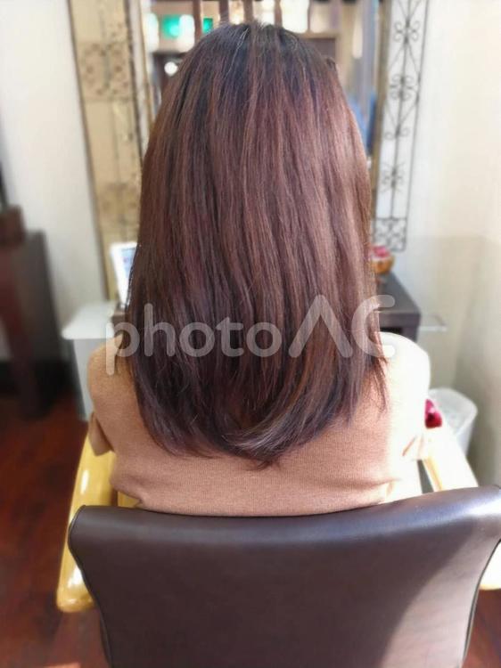 後ろ姿のヘアスタイル ヘアスタイル,女性,後ろ姿の写真素材