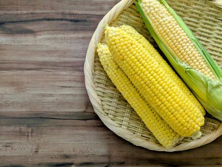 採れたての夏野菜(とうもろこし)5 採れたての夏野菜(とうもろこし)5 夏,夏野菜,とうもろこしの写真素材
