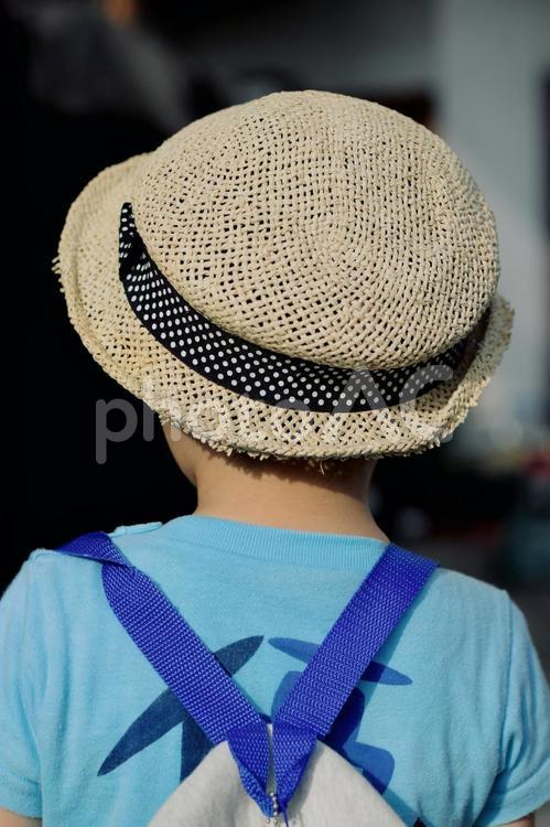 夏の男の子の後ろ姿 男の子,少年,幼児の写真素材