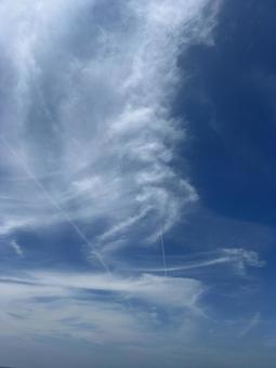 夏の海の空 夏の海の空の写真