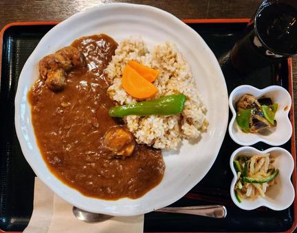 オーガニックカレー1 オーガニックカレー1 カレーライス,オーガニック,大豆ミートの写真素材