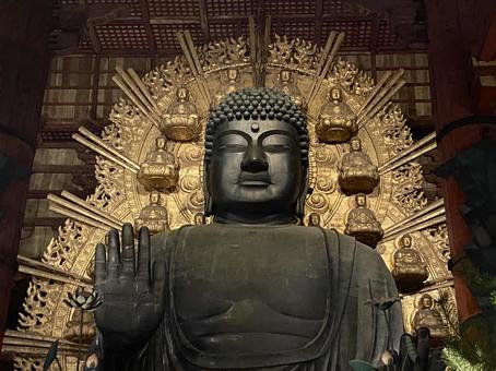 奈良の大仏 奈良の大仏 仏像,大仏殿,東大寺の写真素材