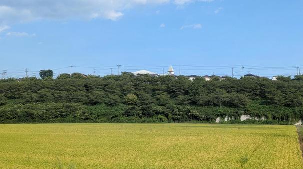 仙台市郊外の風景 仙台市郊外の風景 風景,空,自然の写真素材