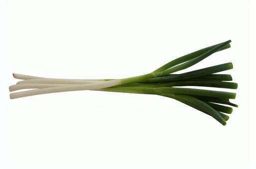 ねぎ4本 ねぎ4本 ネギ,野菜,食材の写真素材