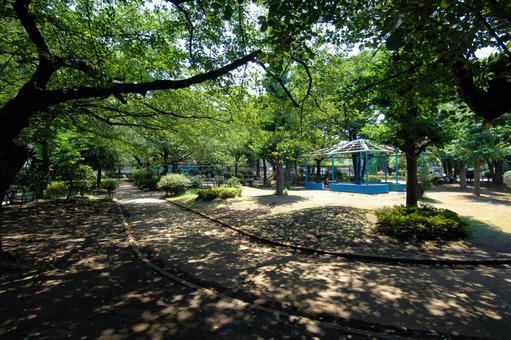 代々木大山公園の小道 代々木大山公園の小道 代々木大山公園,遊び場,木漏れ日の写真素材