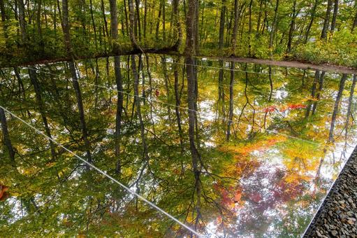 秋の空気神社⑵ 空気神社,モニュメント,空気の写真素材