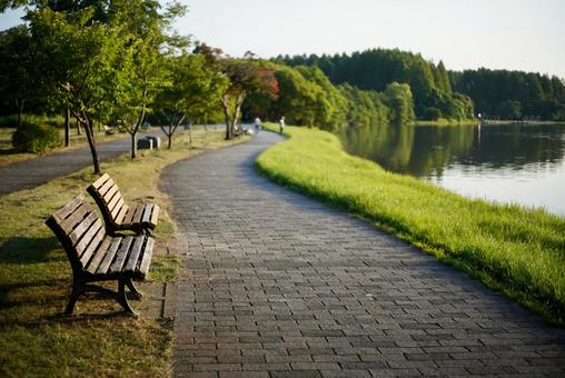 水元公園 水元公園の写真