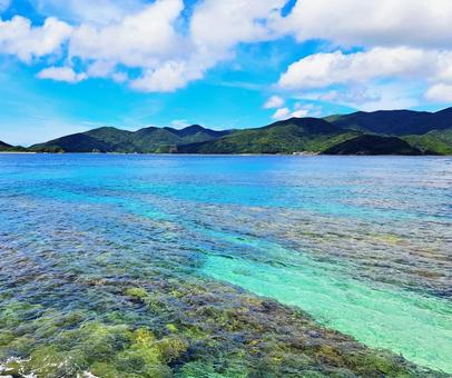 奄美 宇検村の海 奄美 宇検村の海 奄美,奄美大島,宇検村の写真素材