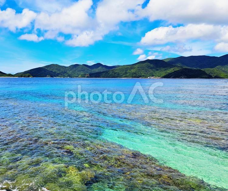 奄美　宇検村の海 奄美,奄美大島,宇検村の写真素材