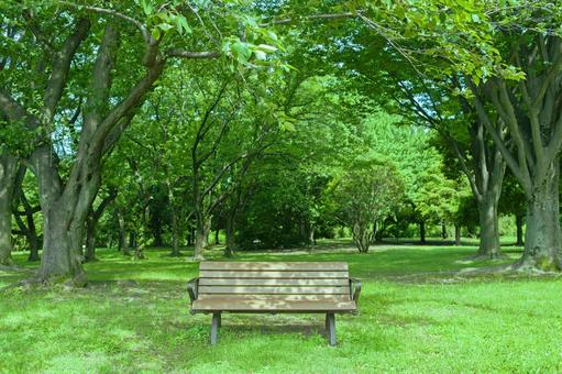 ベンチ 緑の公園 ベンチ 緑の公園 ベンチ,椅子,座るの写真素材