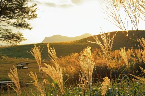 すすき野2 すすき野2の写真