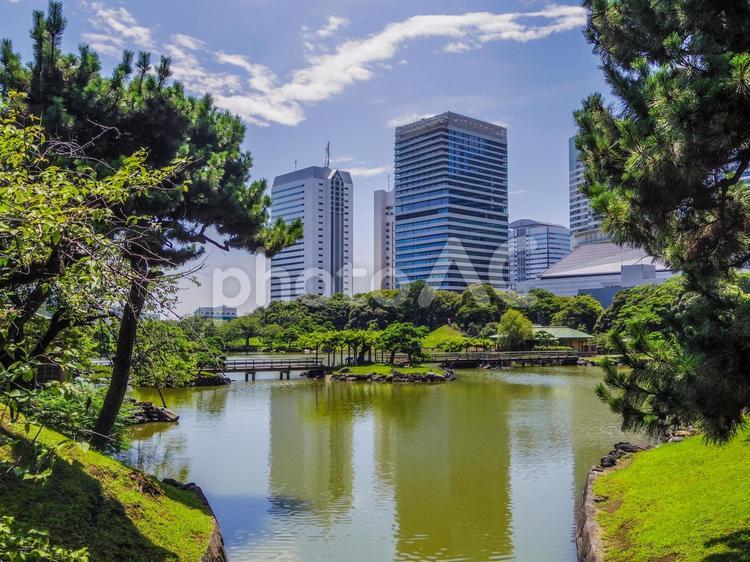 【東京都】中央区の浜離宮恩賜庭園 浜離宮恩賜庭園,日本庭園,中央区の写真素材
