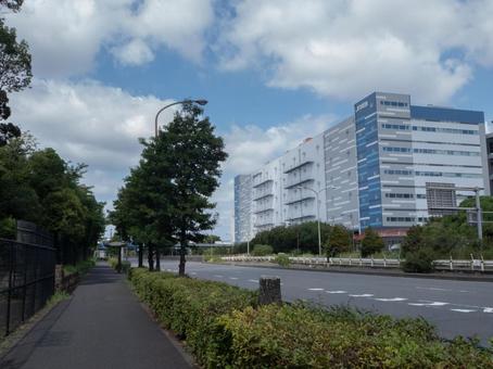 大井ふ頭 大井ふ頭の写真