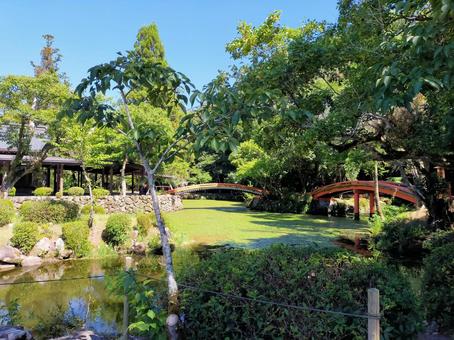 夏の宇佐神宮 夏の宇佐神宮 宇佐神宮,神社,庭園の写真素材