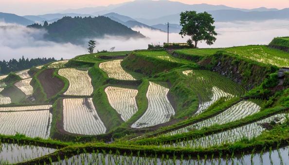 棚田・日本の原風景 棚田・日本の原風景の写真