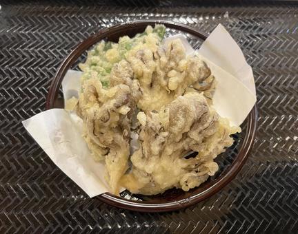 舞茸の天ぷら 舞茸の天ぷら マイタケ,天ぷら,きのこの写真素材