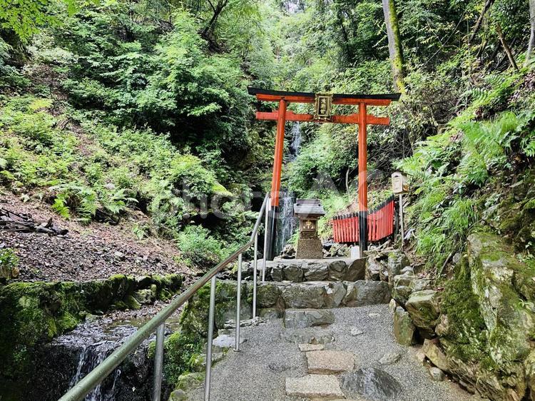 松尾大社　霊亀の滝 松尾大社,京都府京都市,嵐山の写真素材