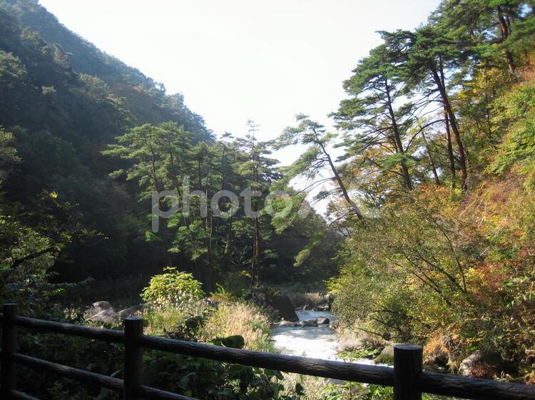 秋の昇仙峡 昇仙峡,秋,甲府の写真素材