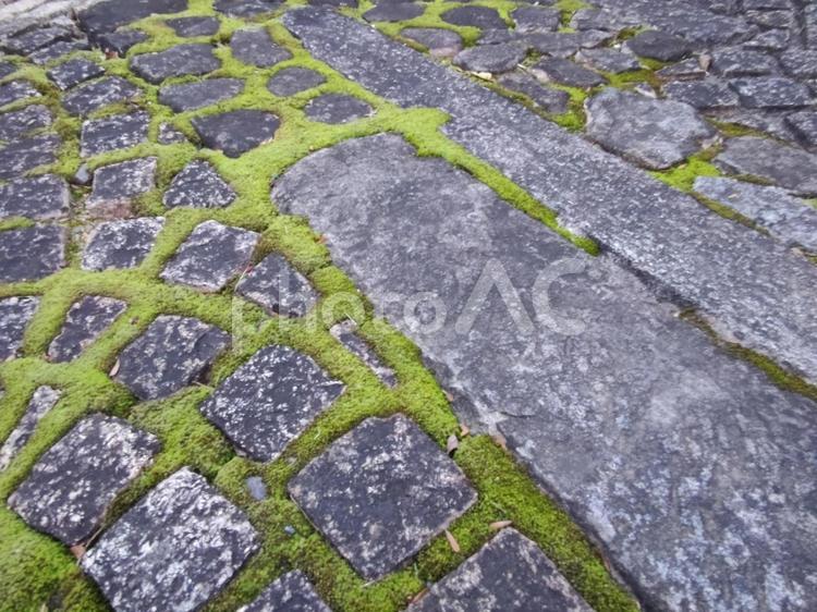 敷石の間の苔 屋外,冬,小さいの写真素材