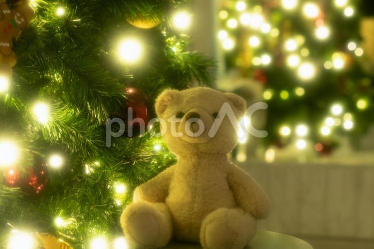 クリスマスツリーとぬいぐるみ　 クリスマス,クリスマスツリー,キラキラの写真素材