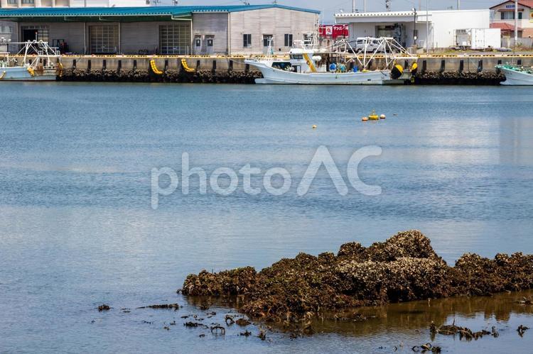 荒浜漁港の風景⑵ 入り江,漁港,荒浜漁港の写真素材