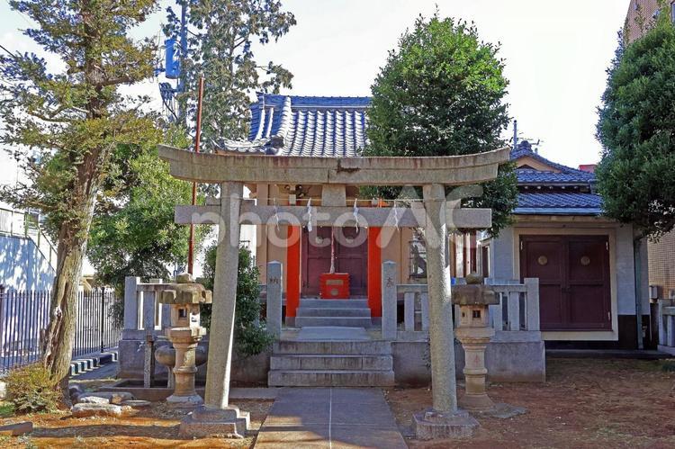 豊敬稲荷神社（板橋） 豊敬稲荷神社,宇迦之御魂神,板橋天祖神社境外末社の写真素材