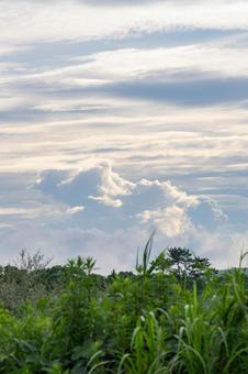 梅雨の曇り空 梅雨の曇り空の写真