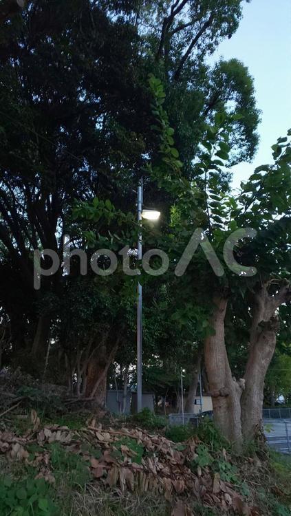 街灯-須惠町 街灯,電気,明かりの写真素材