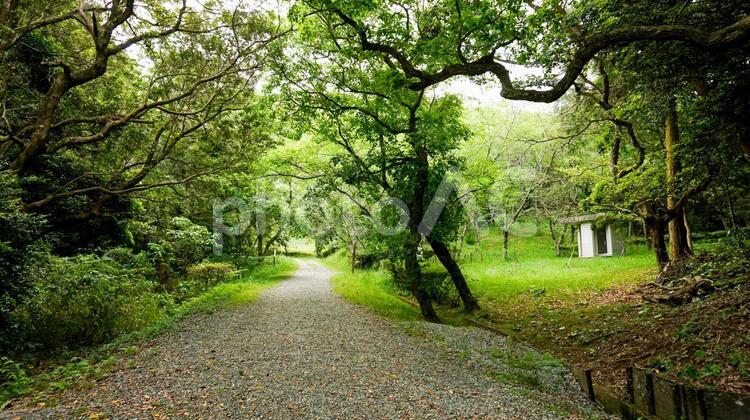 福岡県、宗像市のハイキングコース アウトドア,登山者,ウォーキングの写真素材