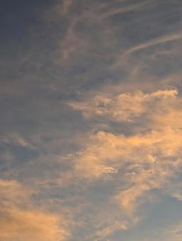 夕焼け空 夕焼け空の写真