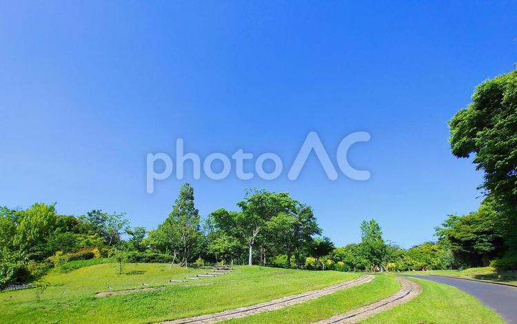 初夏の風景/しまね花の郷 初夏,新緑,青空の写真素材