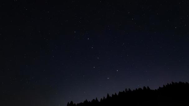 北斗七星が輝く静寂の森 北斗七星が輝く静寂の森の写真