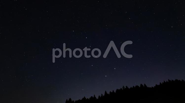 北斗七星が輝く静寂の森 北斗七星,星座,夜空の写真素材