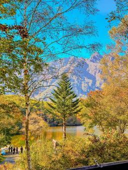 秋の高原 紅葉,秋,高原の写真素材