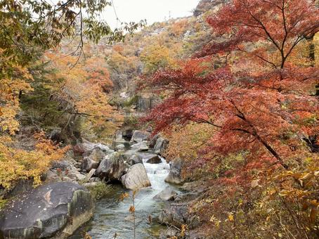 昇仙峡 荒川 昇仙峡 荒川 昇仙峡,昇仙峡ライン,秋の写真素材