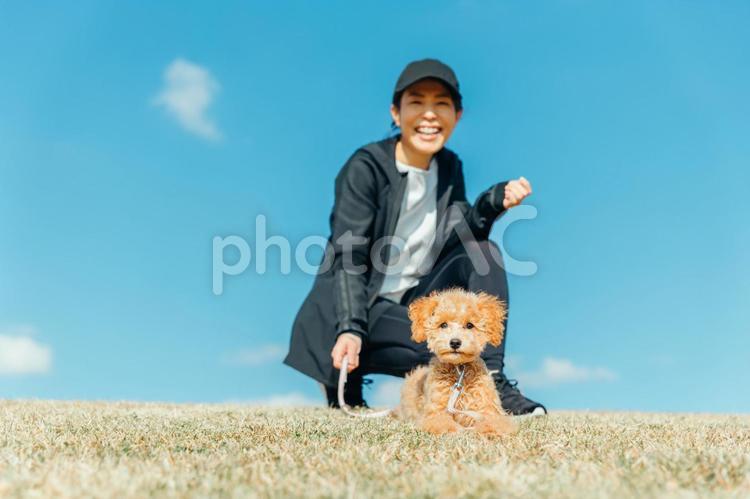 スポーツウェアで犬の散歩をする女性 犬,ペット,ペットシッターの写真素材