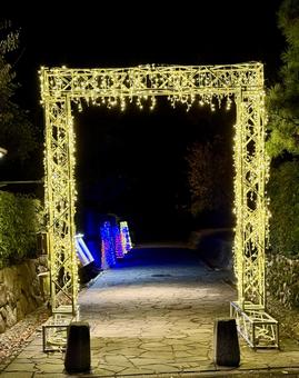 紫式部公園　福井の夜のイルミネーション イルミネーション,イベント,冬まつりの写真素材