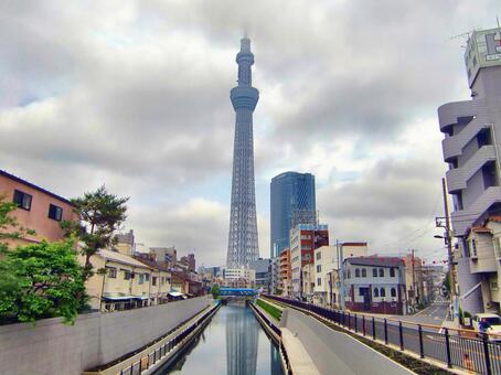 曇り日の東京スカイツリー-113 東京スカイツリー,曇り日,雲の写真素材