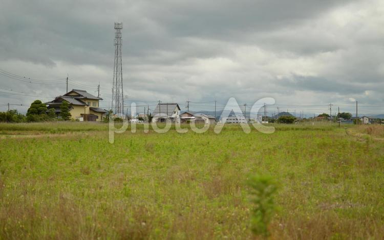 草ぼうぼうな耕作放棄地の風景 耕作放棄地,畑,草の写真素材