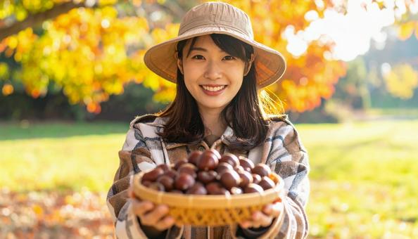 栗拾い 籠の中の栗を見せる笑顔の女性 栗拾い 籠の中の栗を見せる笑顔の女性の写真