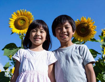 ひまわりと青空と子供たち ひまわりと青空と子供たちの写真
