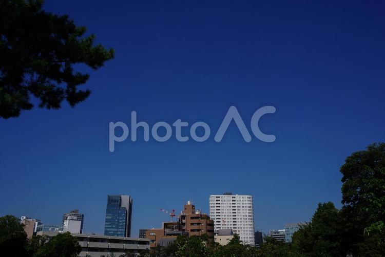 あおぞらと南青山2丁目の風景 あおぞら,快晴,空の写真素材